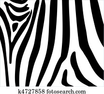 zebra cartoon stripes