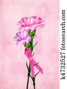 Carnation Bouquet Carnation Bouquet