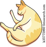 cat cat