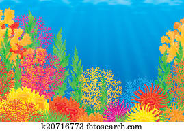 Coral reef Coral reef