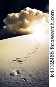 Footprints in desert White Sands New Mexico