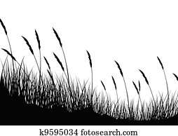 Grass background Grass background