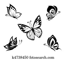 tatuagem, preto branco, borboletas