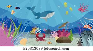 unterwasserwelt, welt, szene unterwasserwelt, welt, szene