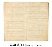 vindima, memorando, livro, abertos, para, em branco, páginas