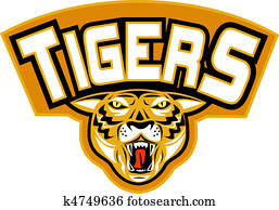 angry tiger head front view angry tiger head front view