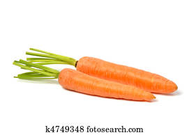 Carrots on White Carrots on White