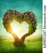 coração amoldou, árvore
