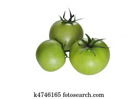 green tomato green tomato