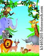 Animal Animal