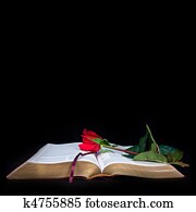 Bible on Black Background Bible on Black Background