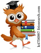Owl Books Owl Books