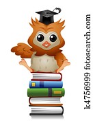 Owl Books Owl Books