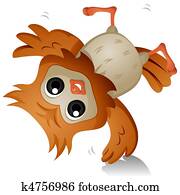 Owl Cartwheel Owl Cartwheel