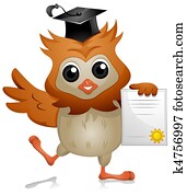 Owl Diploma Owl Diploma