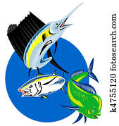 Sailfish dolphin fish tuna Sailfish dolphin fish tuna