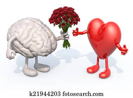brain hands her a bouquet of roses to a heart brain hands her a bouquet of roses to a heart