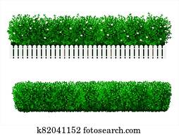 Bush in the form of a green hedge Bush in the form of a green hedge