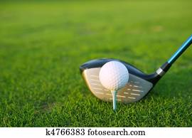 Golf tee ball club driver in green grass course Golf tee ball club driver in green grass course