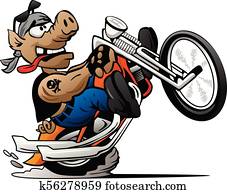 Biker hog popping a wheelie on a motorcycle cartoon vector illustration Biker hog popping a wheelie on a motorcycle cartoon vector illustration