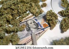 cannabis, in, economics., weiß, hintergrund., marihuana, knospe, und, banknoten, von, dollar., cbd, thc, herb., sativa, medizinische, health., geld, weed., dass, topf, buds., cannabis, geld, schwarz, market.