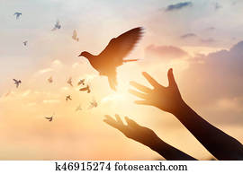 אישה מתפללת, ו, צפור חינם, להנות, טבע, ב, שקיעה, background,, קוה, מושג