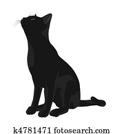 Cat Illustration Cat Illustration