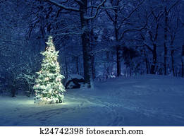Christmas Tree in Snow Christmas Tree in Snow