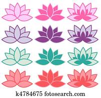 lotus flower lotus flower