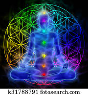 Meditation - flower of life Meditation - flower of life