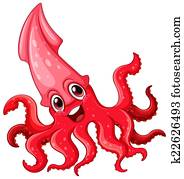Squid