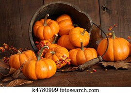 דלי מעץ, התמלא, עם, קטנטן, דלועים