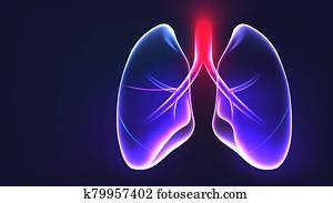 ריאות, אנטומיה, הפרד, וקטור, דוגמה