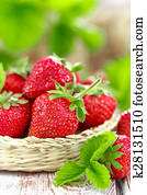 Strawberry Strawberry