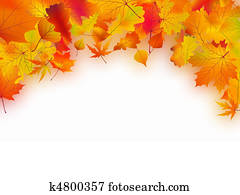 Fallen autumn leaves background Fallen autumn leaves background