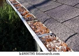 folhas, em, chuva, gutter.