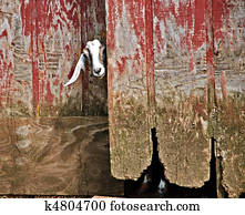 Goat and Old Barn Door Goat and Old Barn Door