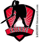 Knight sword shield side Knight sword shield side