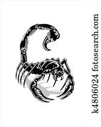 skorpion skorpion