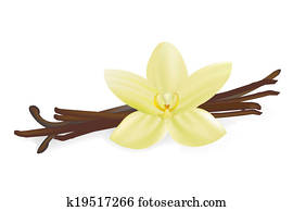 Vanilla Pods And Flower Vanilla Pods And Flower