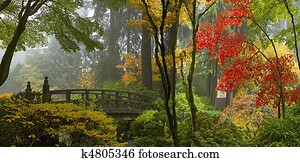 Wooden Bridge at Japanese Garden in Autumn Panorama