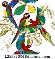 Beautiful tropical pattern with colorful parrots with lemon bran Beautiful tropical pattern with colorful parrots with lemon bran