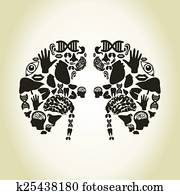 Kidneys Kidneys
