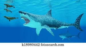 Seals Race To Get Away From A Giant Megalodon Shark Stock Illustration Cfr0249p Fotosearch Seals Race To Get Away From A Giant Megalodon Shark Stock Illustration Cfr0249p Fotosearch