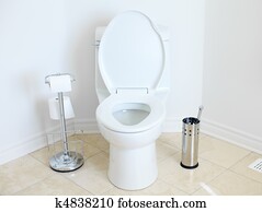 Flush toilet Flush toilet