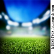 Football, soccer match. Grass close up, lights on the stadium. Football, soccer match. Grass close up, lights on the stadium.