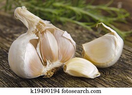 garlic vegetable garlic vegetable