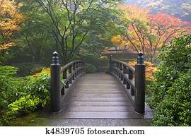ponte madeira, em, jardim japonês, em, outono