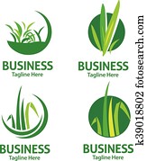 rasen sorge, logo, satz rasen sorge, logo, satz