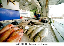 The fish market